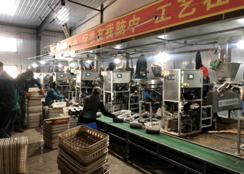 牡丹江市村集體招商項目第1期 聚焦教育領域，打造鄉村發展新引擎